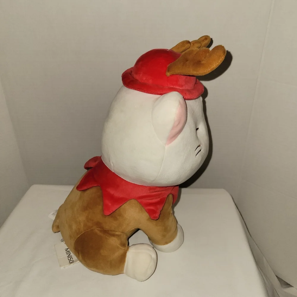 Miniso 12
